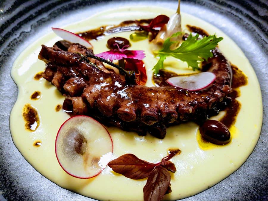 Octopus in Red Wine Sauce
